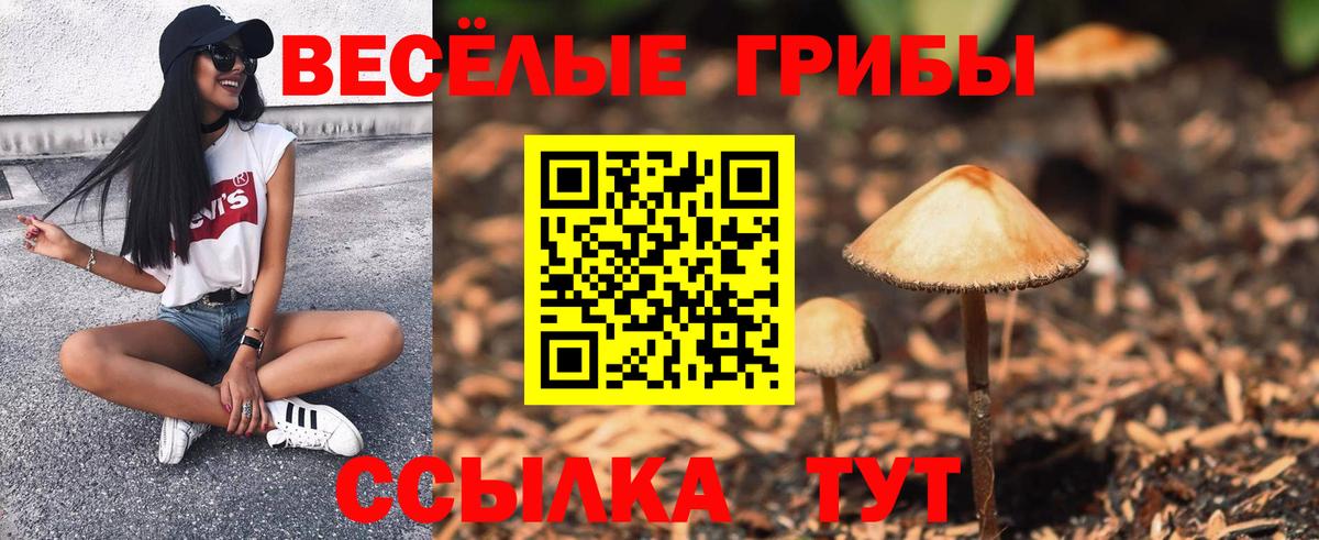 Псилоцибиновые грибы Cubensis  Галлюциногенные грибы ЛСД  Соликамск  Вход с VPN 