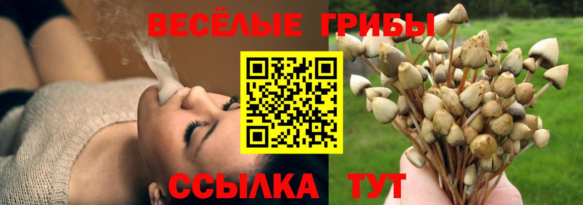 Псилоцибиновые грибы Cubensis Соликамск